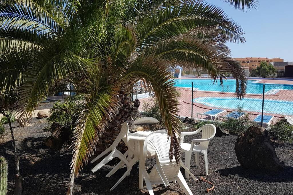 Appartement Bouganville Rez-De-Chaussee Wifi 코스타 데 안티과 외부 사진